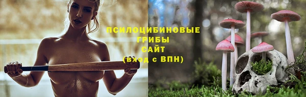 ПСИЛОЦИБИНОВЫЕ ГРИБЫ Богданович