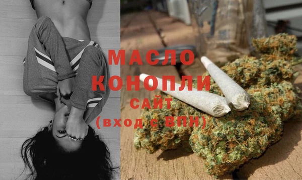 дмт Богородск