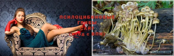прущий лед Бугульма