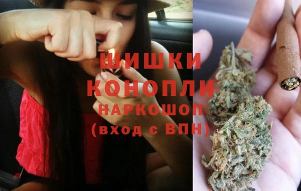 ПСИЛОЦИБИНОВЫЕ ГРИБЫ Богданович
