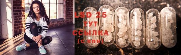 ECSTASY Бородино
