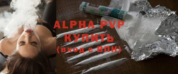 ПСИЛОЦИБИНОВЫЕ ГРИБЫ Богданович