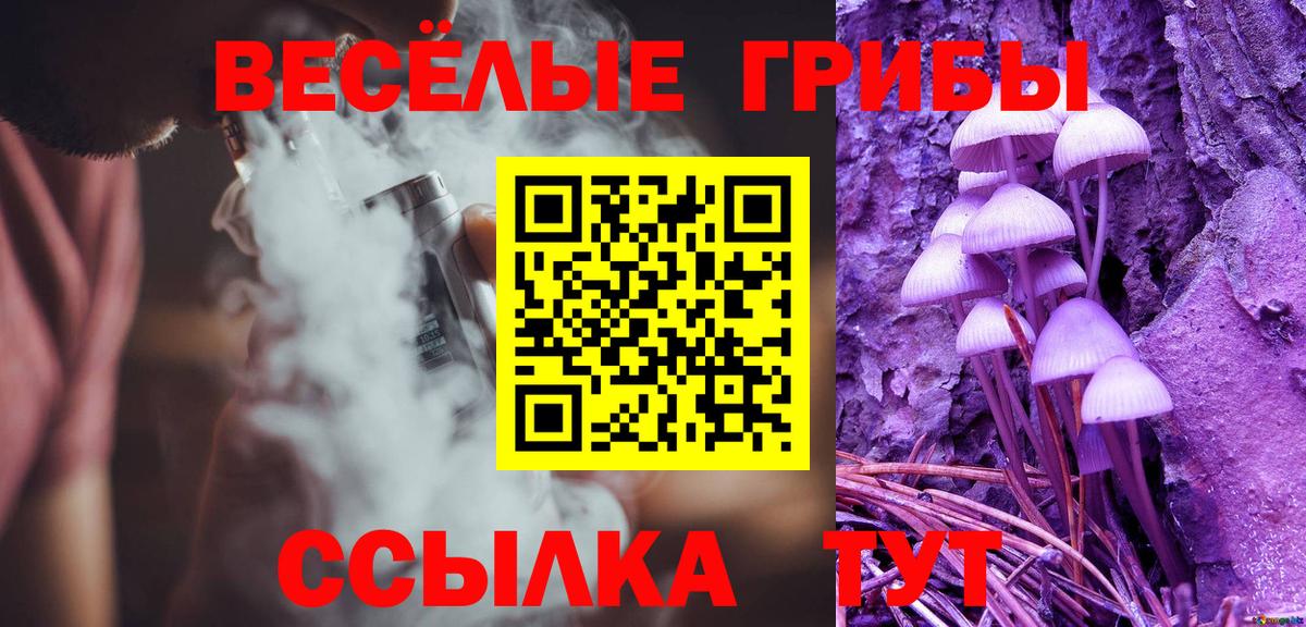 Псилоцибиновые грибы прущие грибы  Вход с VPN  Обь 