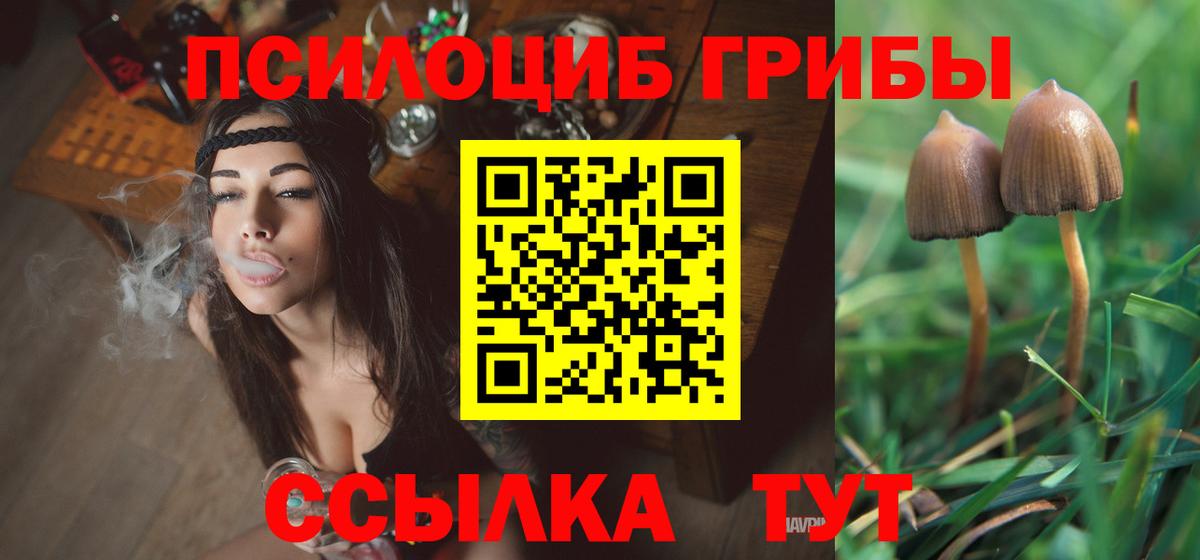 Псилоцибиновые грибы ЛСД Обь